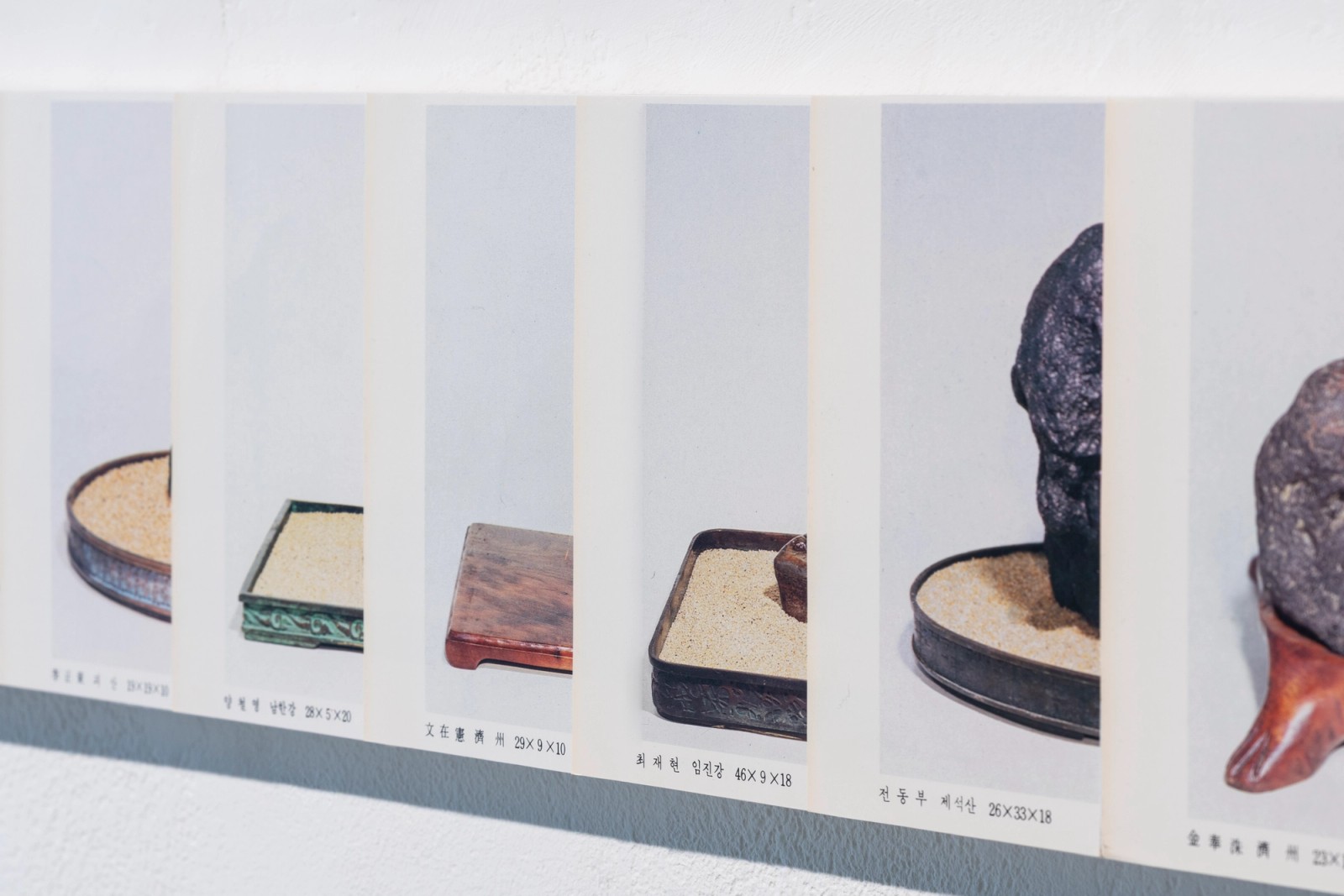  《Kuckuck Cuckoo》