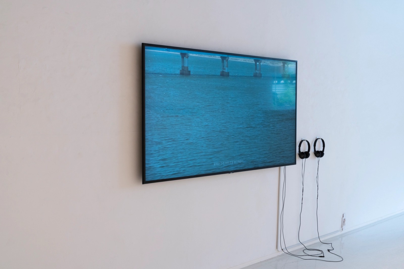  《Kuckuck Cuckoo》