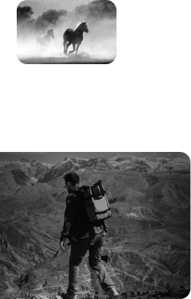 Left Image