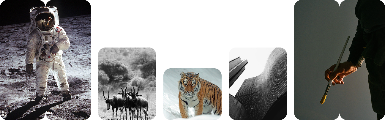 Transforming Vision into Growth