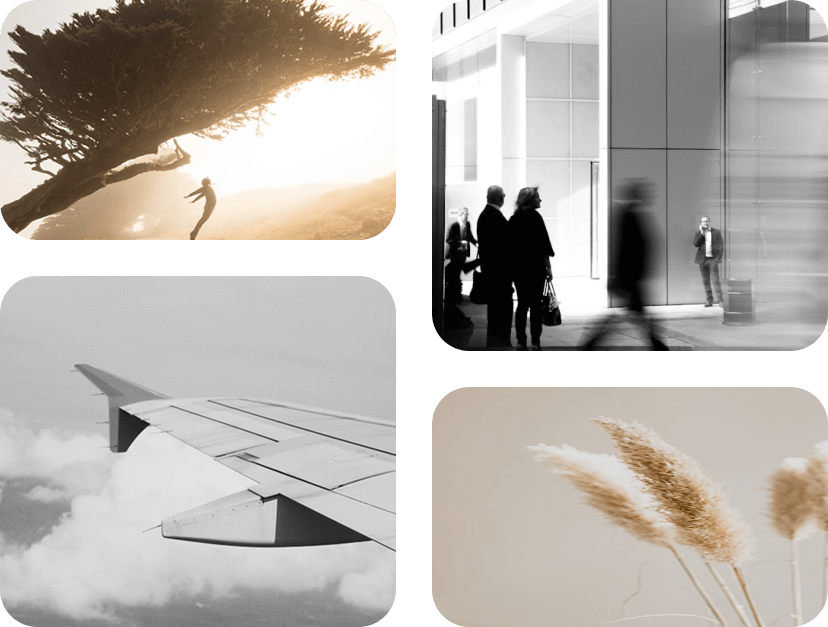 Why SeedX image