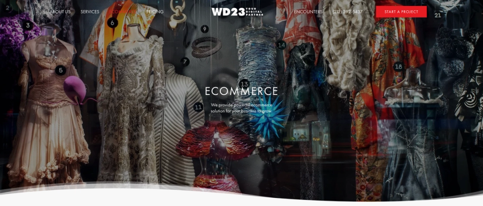 7. WD23 – Comprehensive Digital Solutions Experts