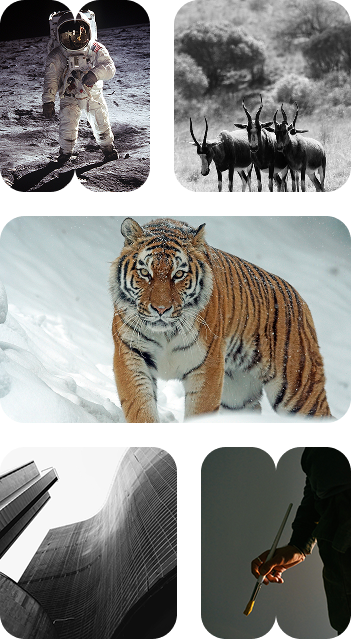 Transforming Vision into Growth