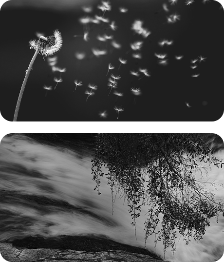 A Search System Built <span>Around Intent</span> image