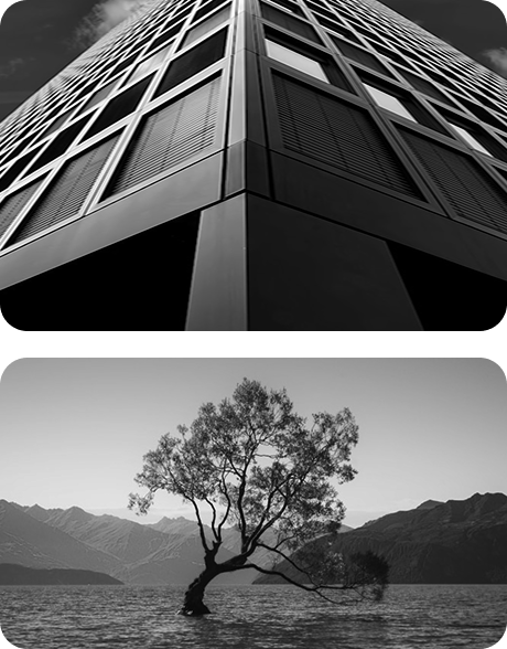 What Makes Paid <span>Social Scalable</span> image