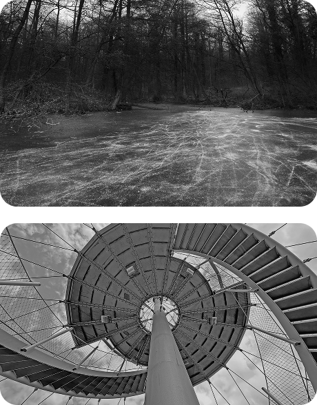 Unifying<br><span>Customer Data</span> image