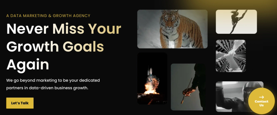 SeedX - Data-Driven Marketing and Growth