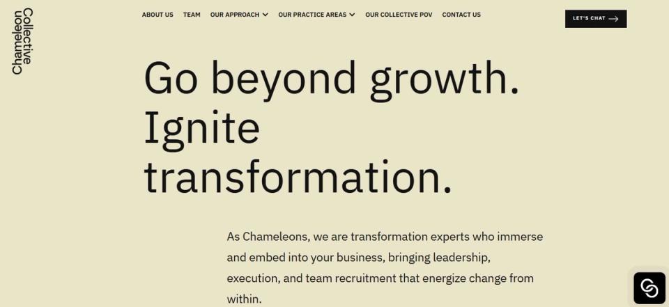 Chameleon Collective Hero Image