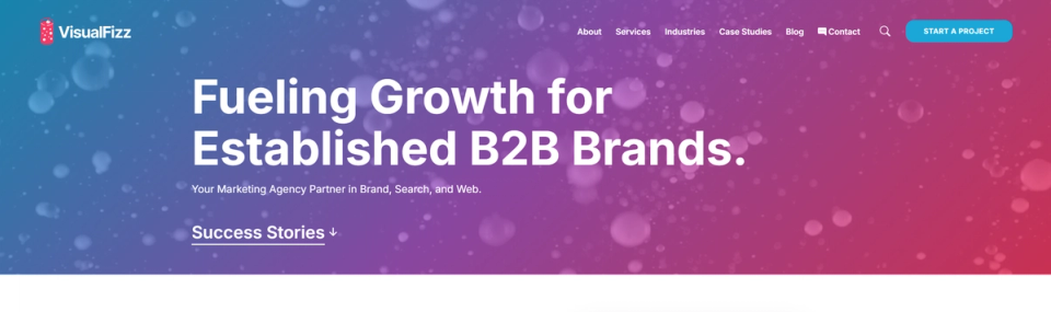 VisualFizz Hero Image