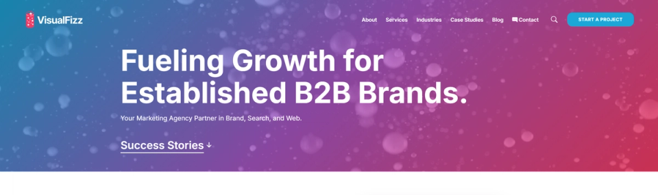 VisualFizz Hero Image VisualFizz Hero Image