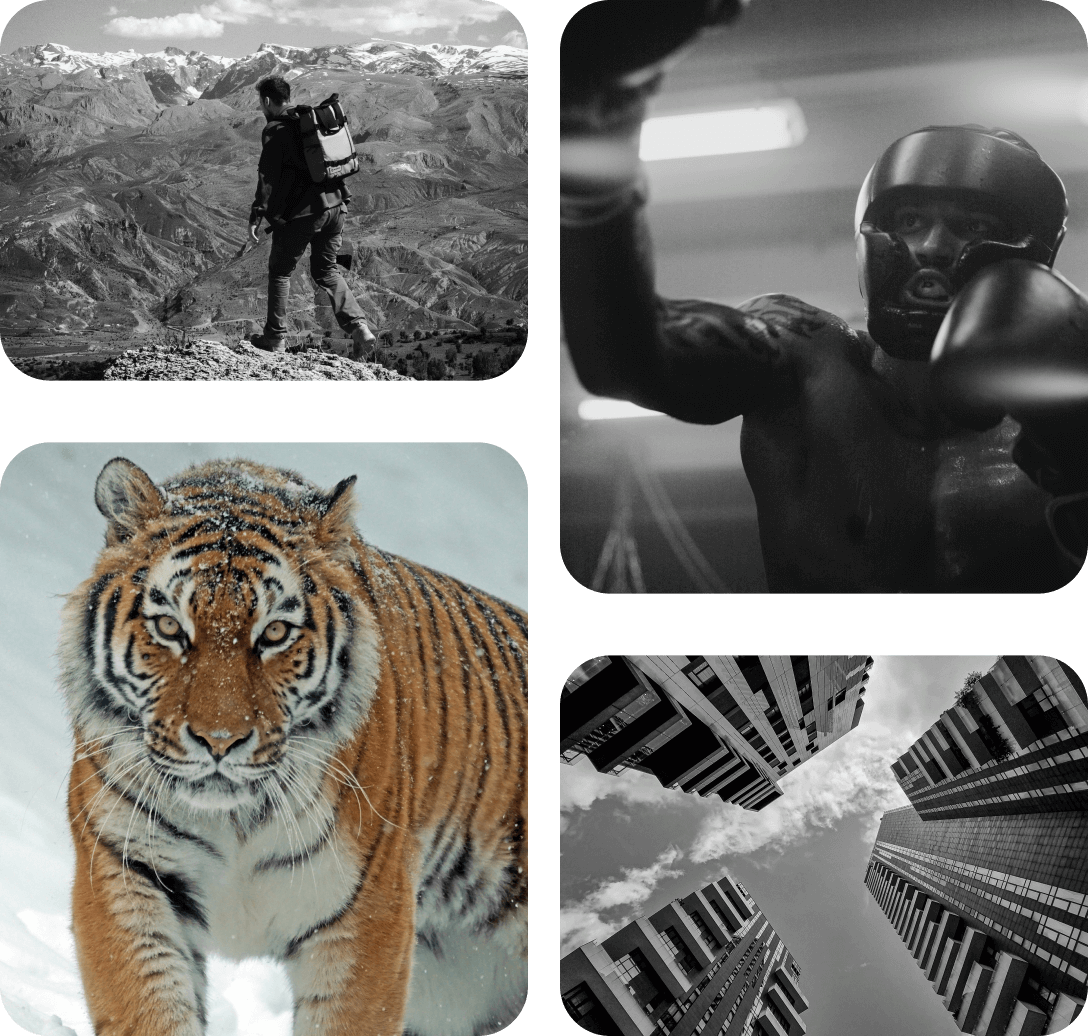 Why choose image