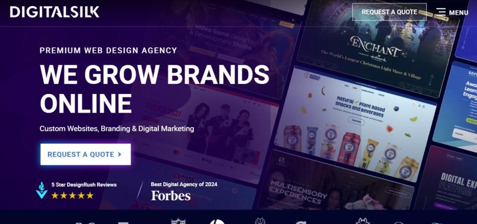 Digital Silk Hero Image