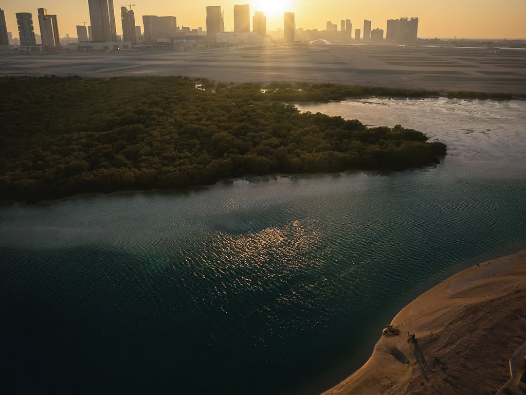 Buy 1-Bedroom Apartments in Abu Dhabi