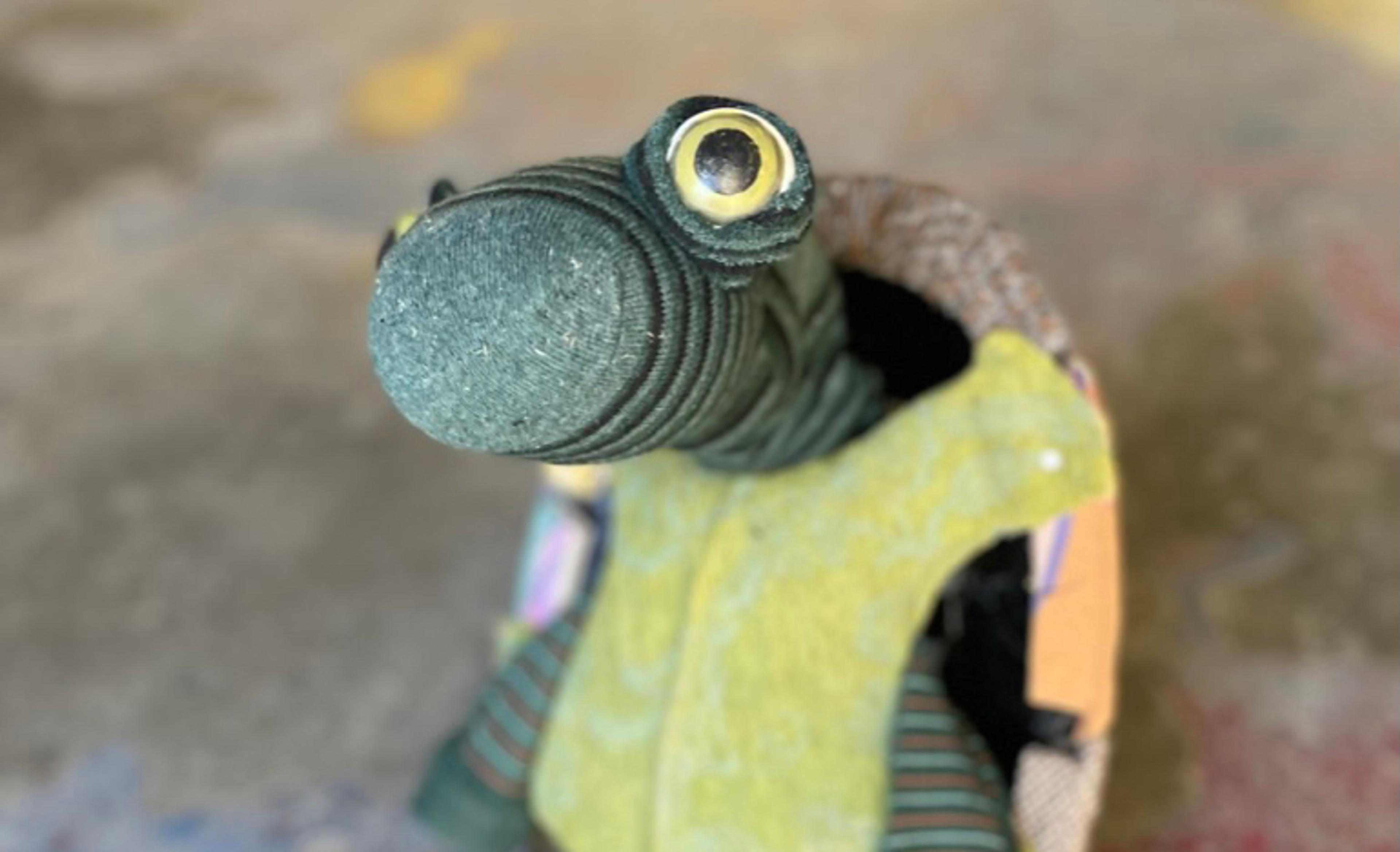 Sigues tortuga Xip Xap