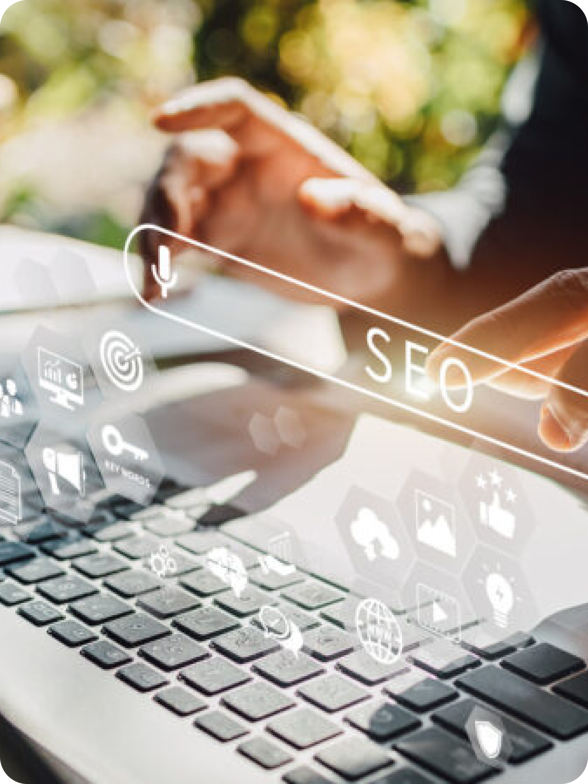 organic seo services