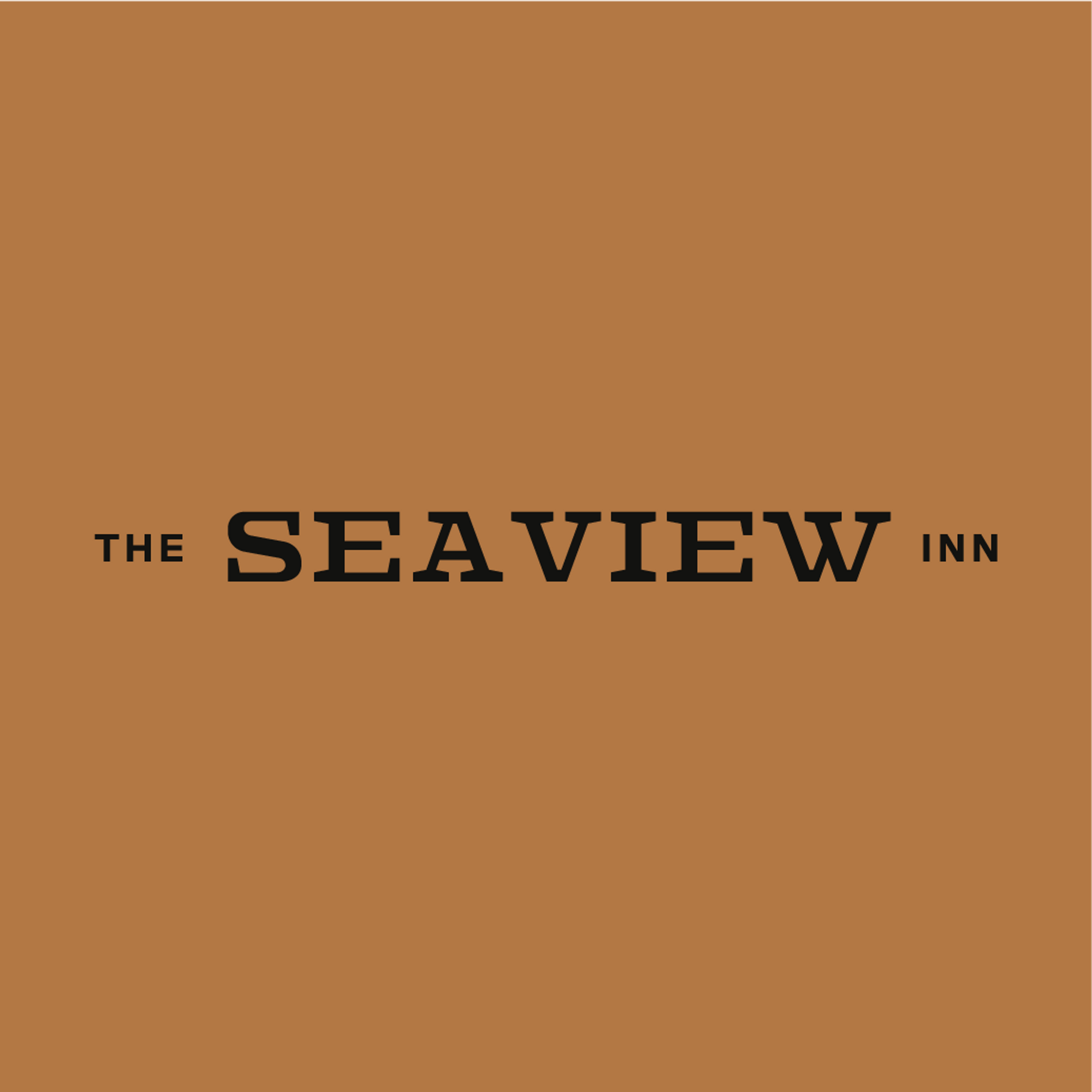mid-century logo with blocky serif lettering on brown background