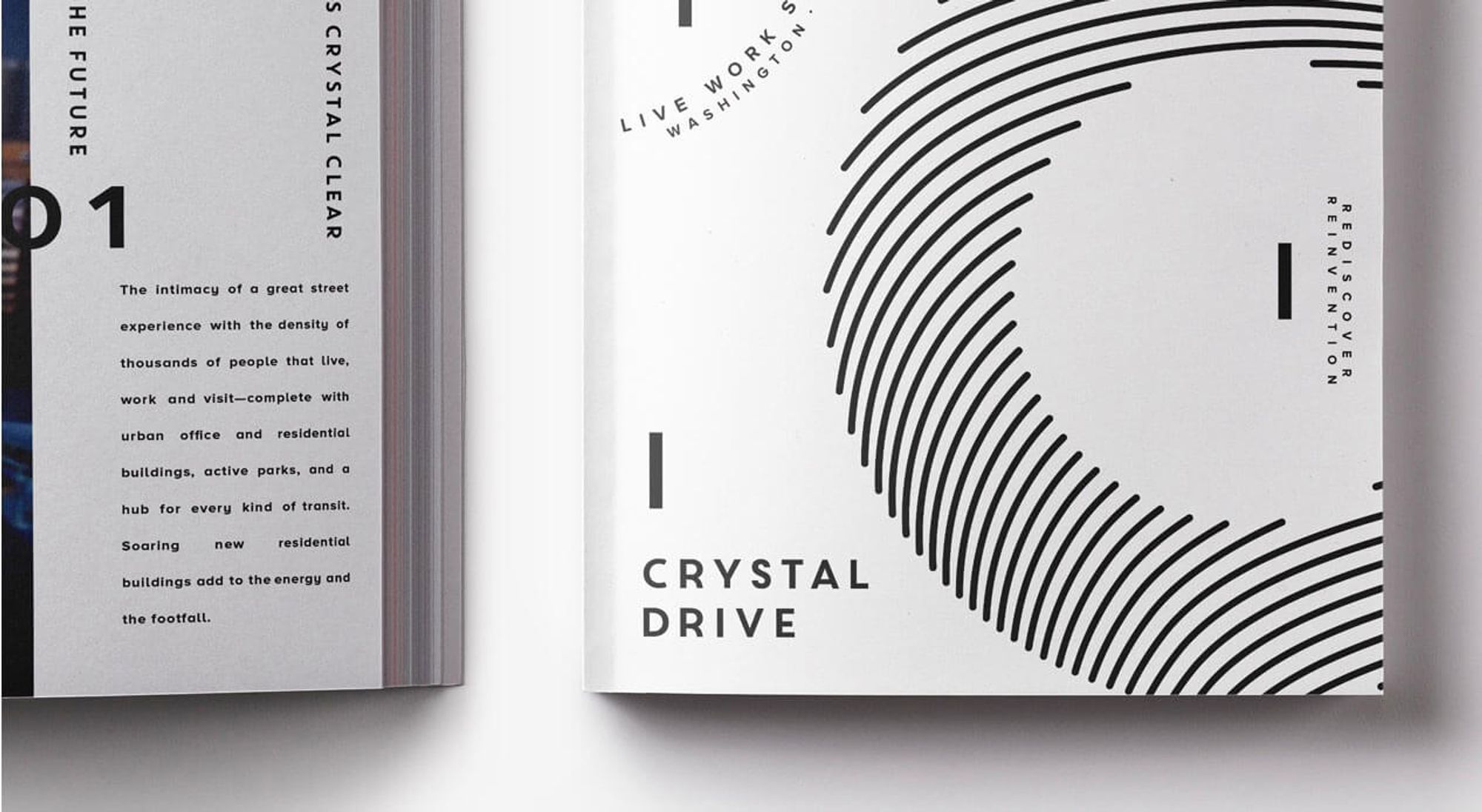 ICRAVE / Crystal Drive book design