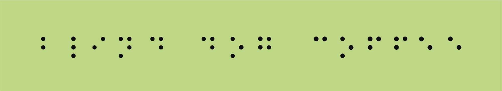 Blind Dog in Braille
