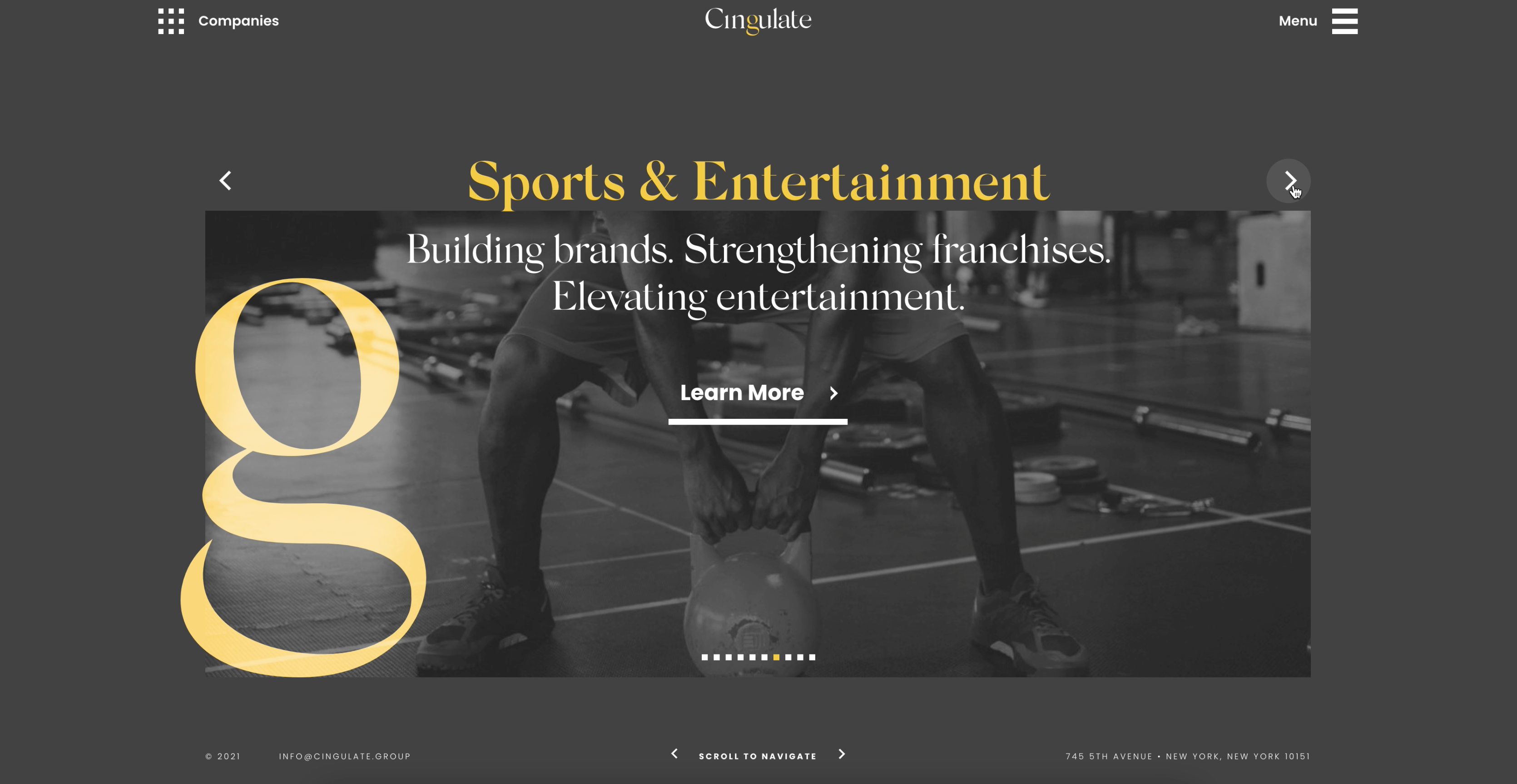 Cingulate Page Transitions Video