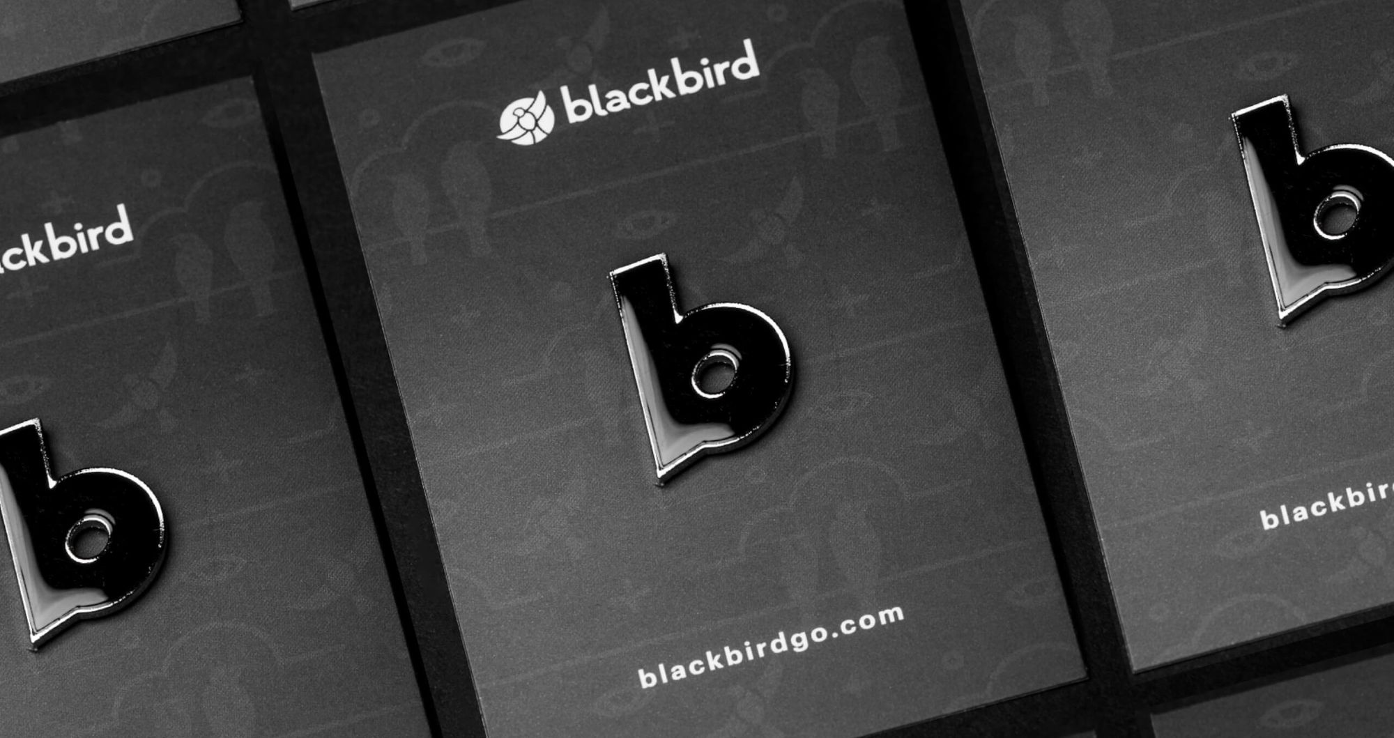 Blackbird Go cover design