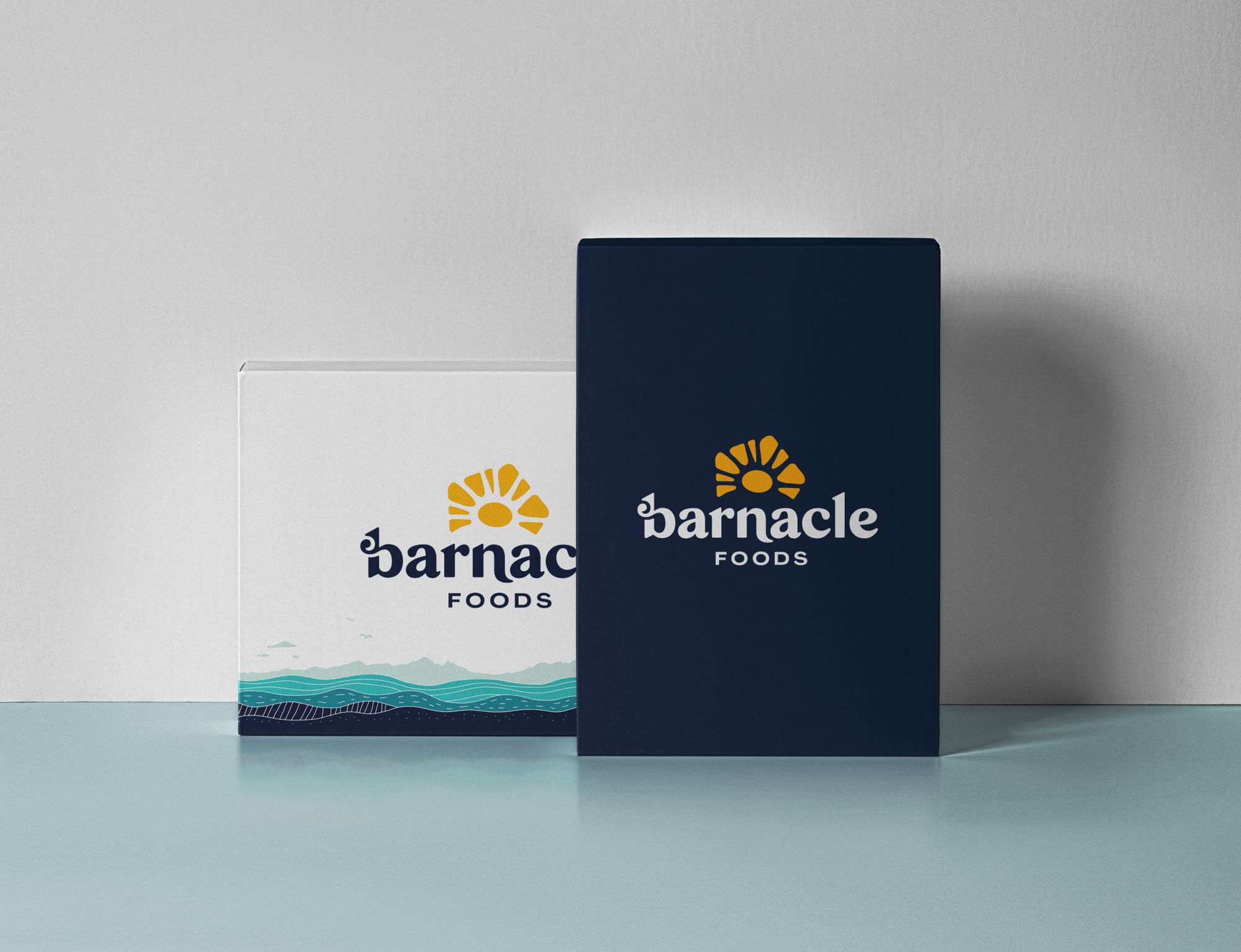 Barnacle Box Packaging