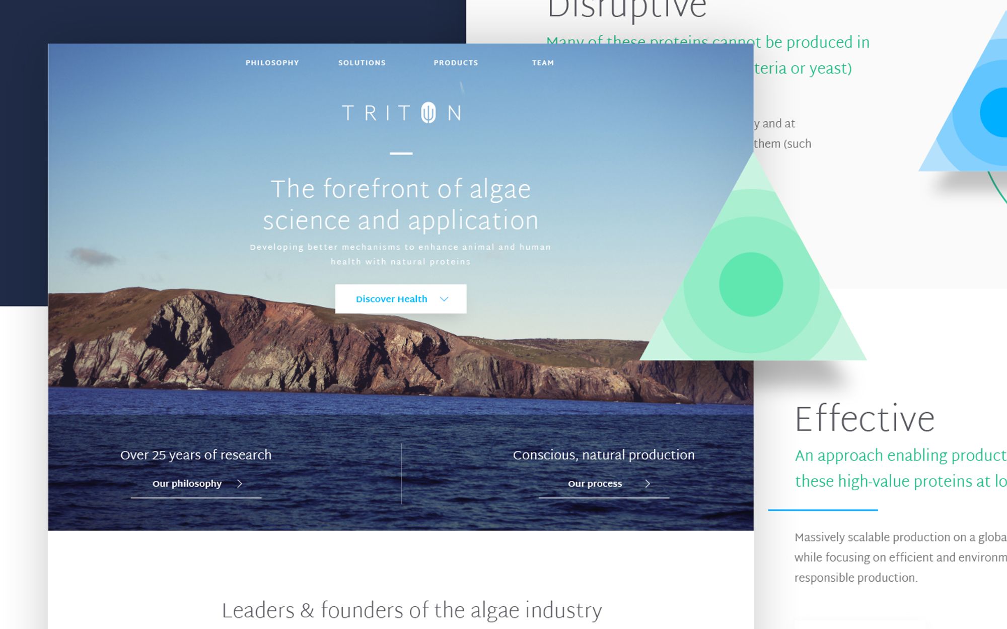 Triton Algae Innovations web design