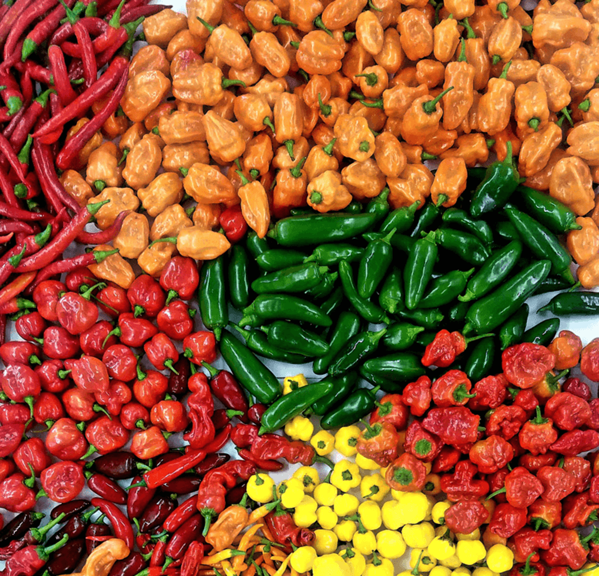 Keep it simple: It’s hard to grow food in the desert