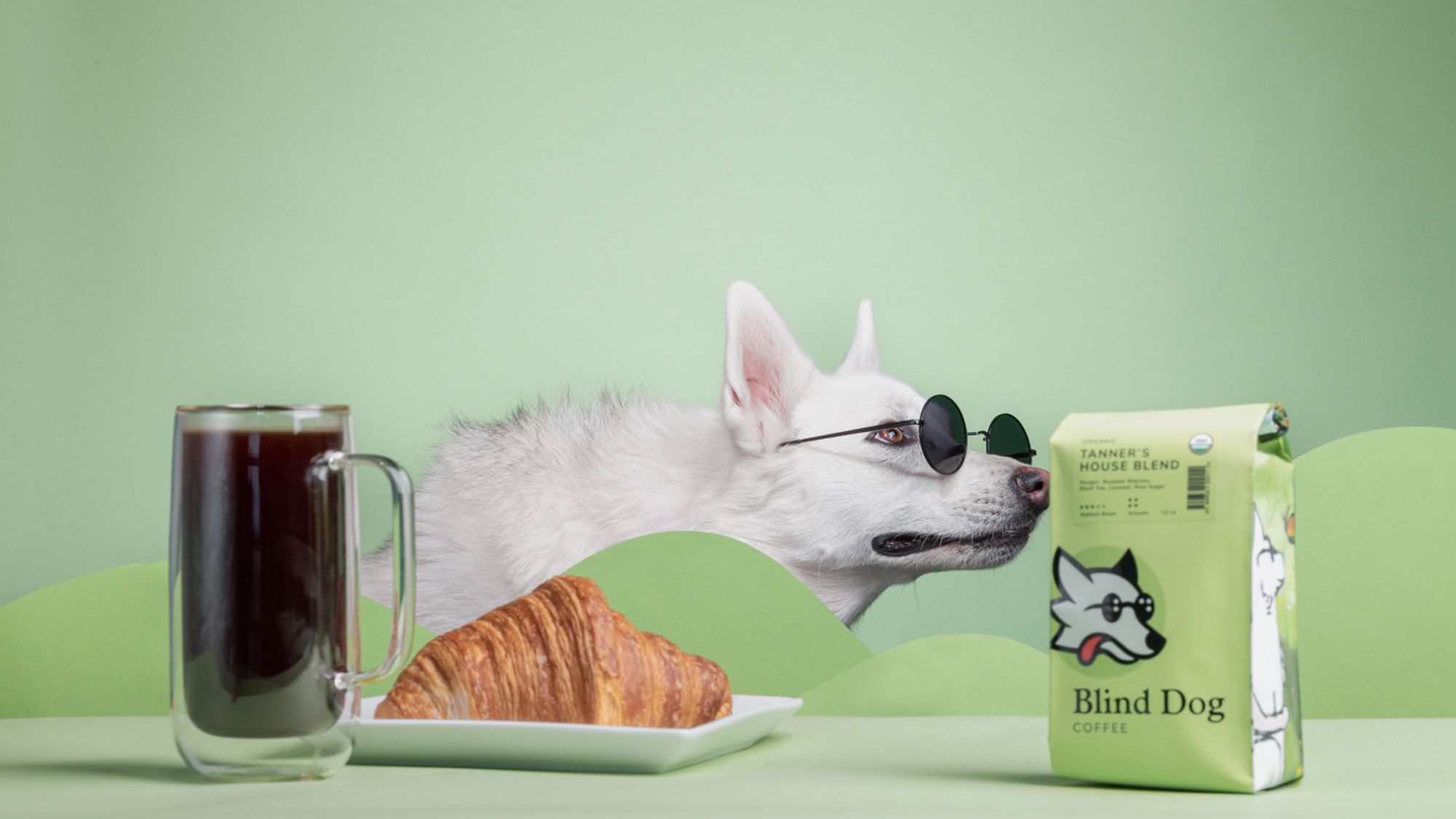 White dog with glasses sniffing Tanner's House Blend from Blind Dog Coffee