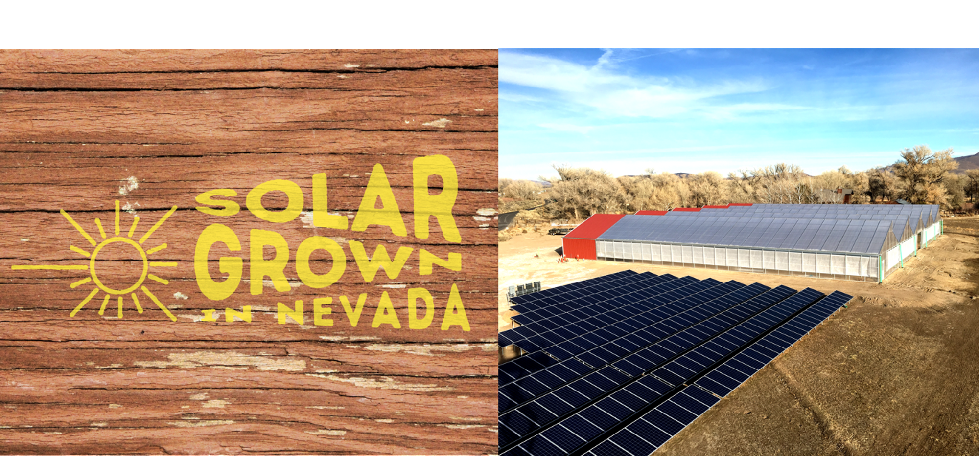 Dayton Valley Aquaponics solar panels