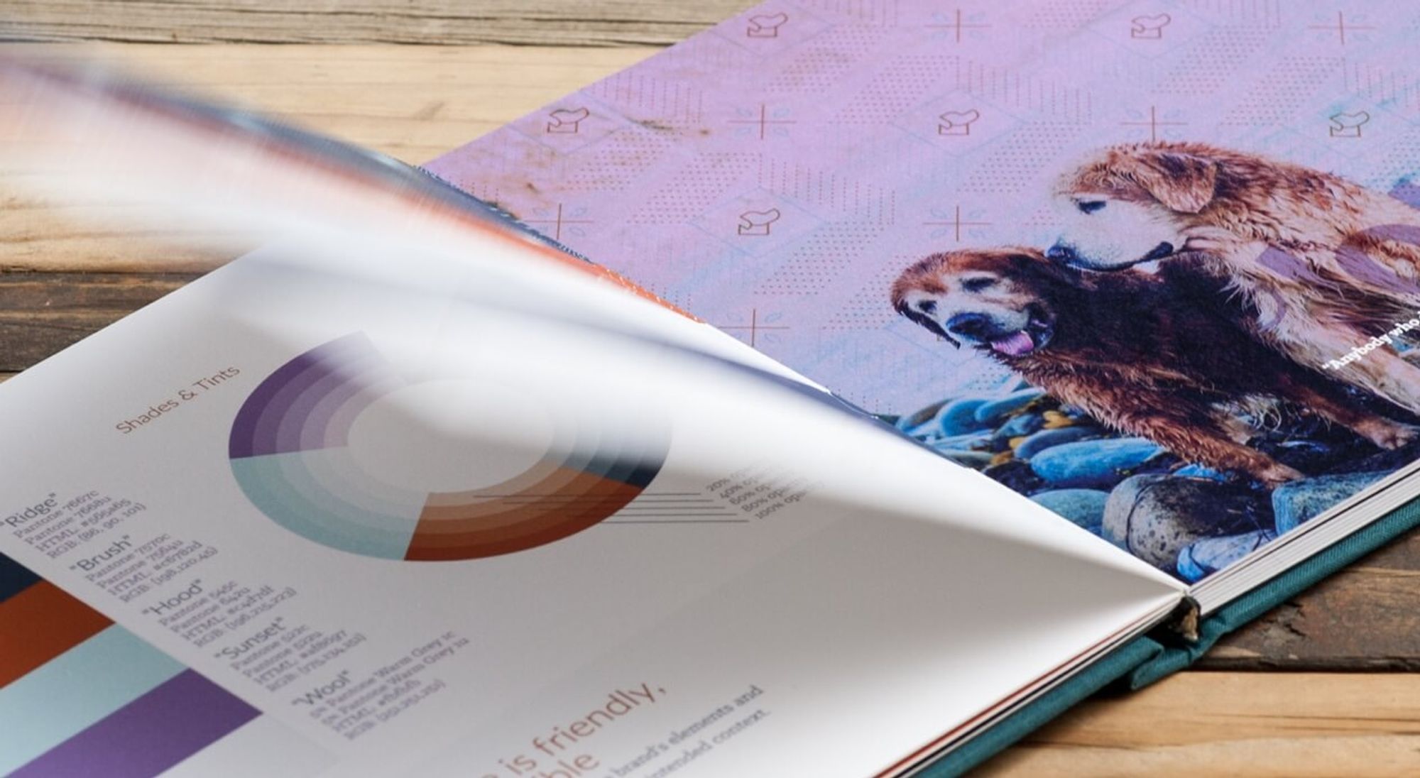 Loki Pet Treats book design