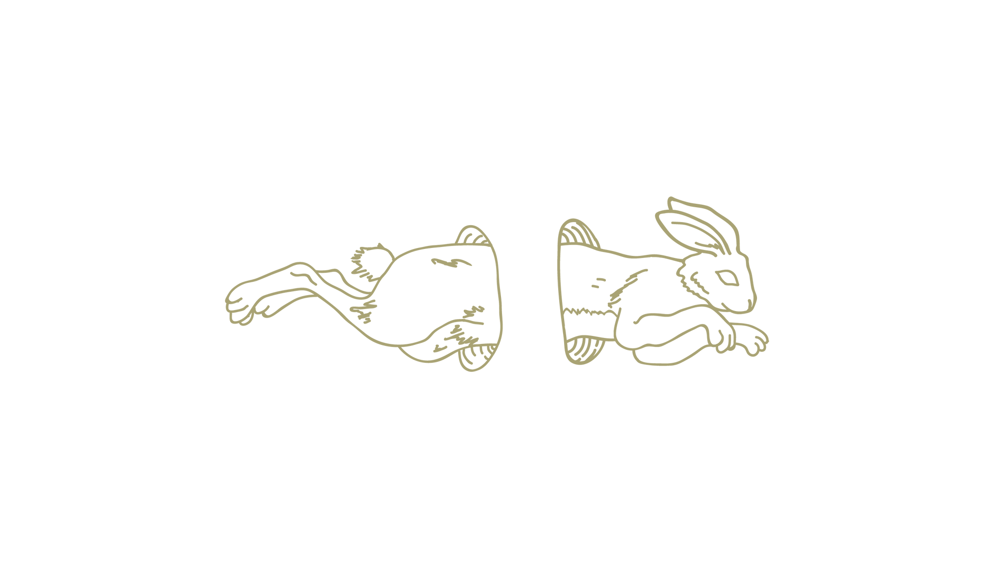 Down the Rabbit Hole Packaging Design