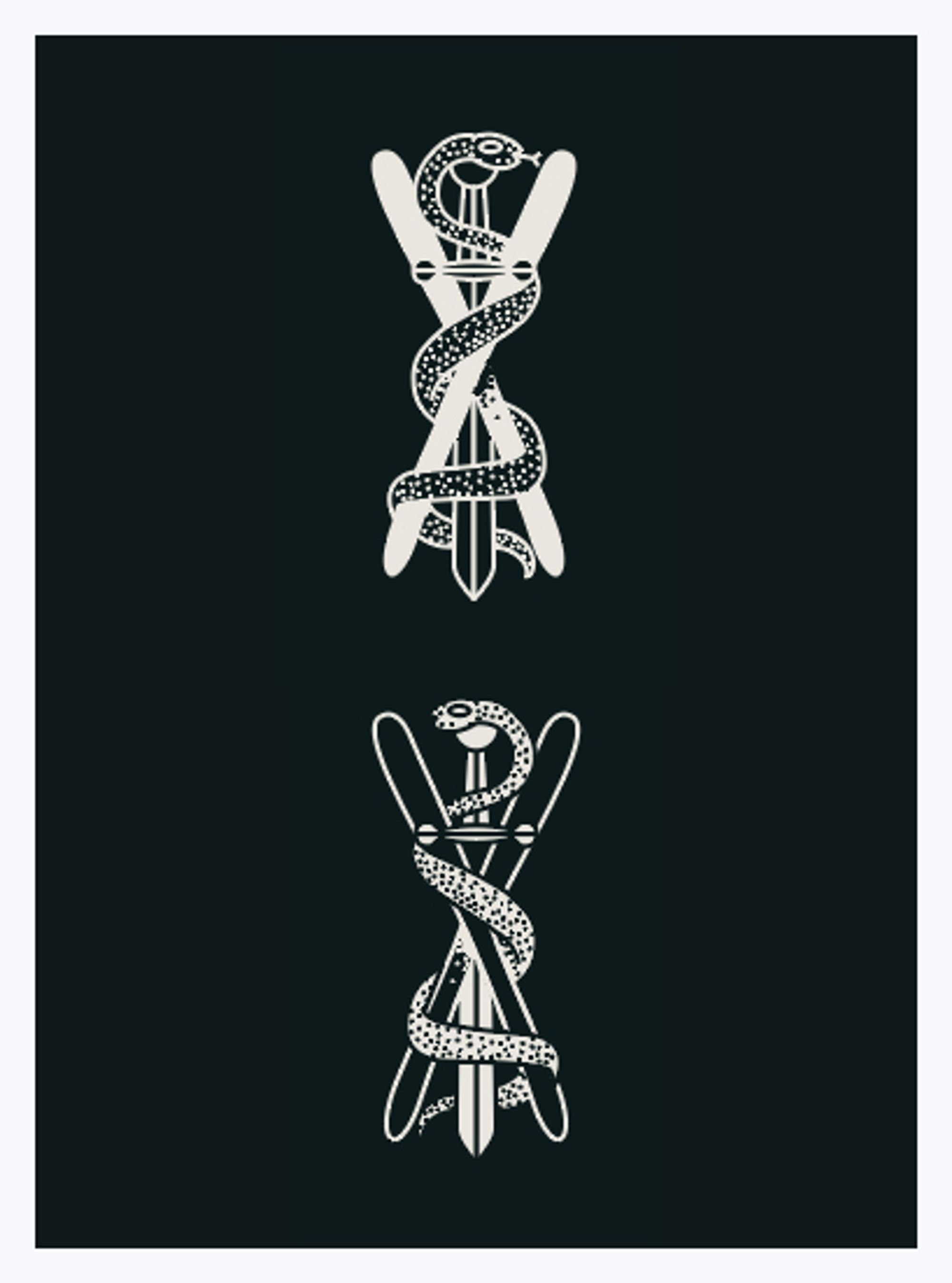 Moment Skis illustrations