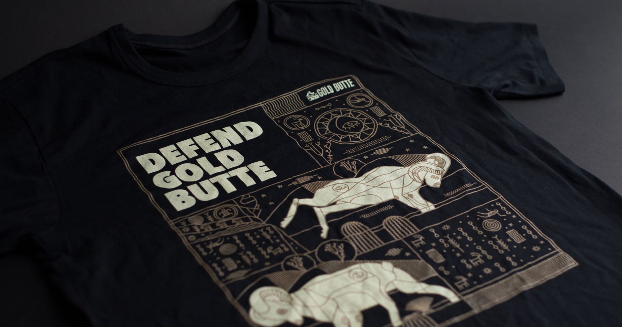 Patagonia shirt illustration