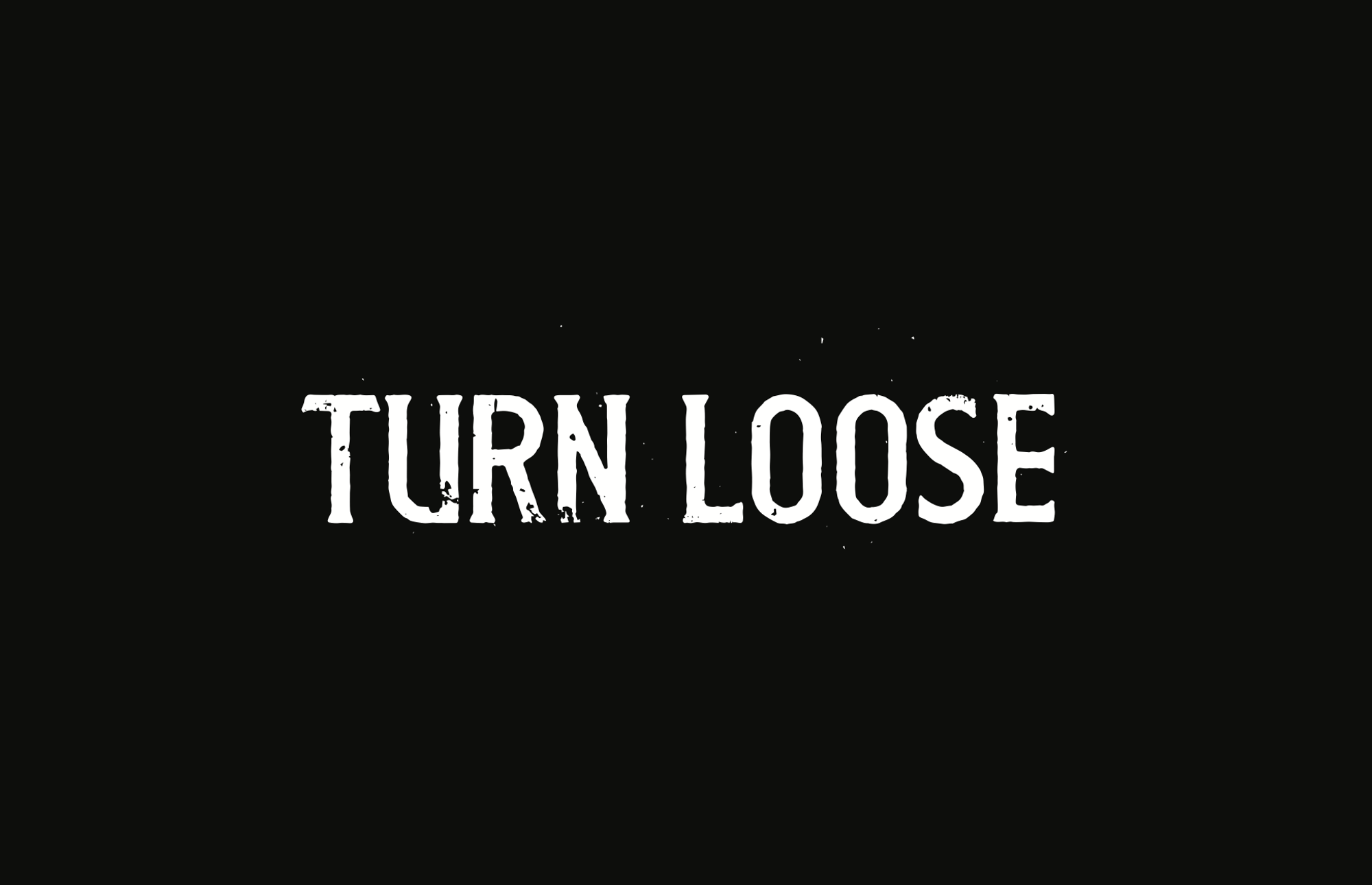 Turn loose logo exploration