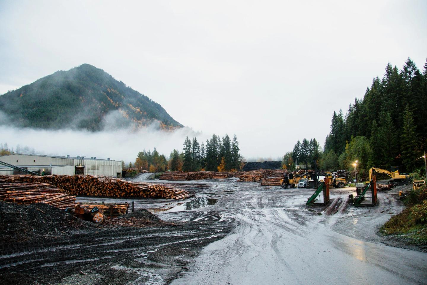 A muddy, waterlogged construction site with stacked logs and equipment, low cloud on a mountain behind.