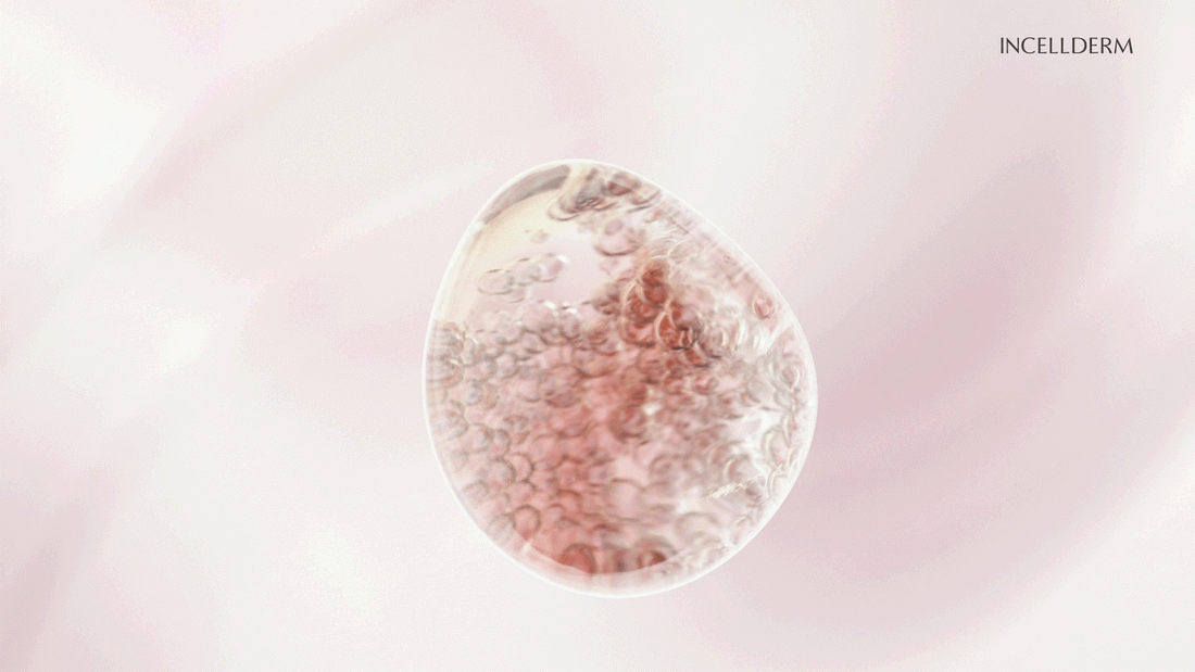 INCELLDERM RADIANSOME™ 100 프로모션 영상 — 파티클 애니메이션과 제품 CGI 오프닝 시퀀스