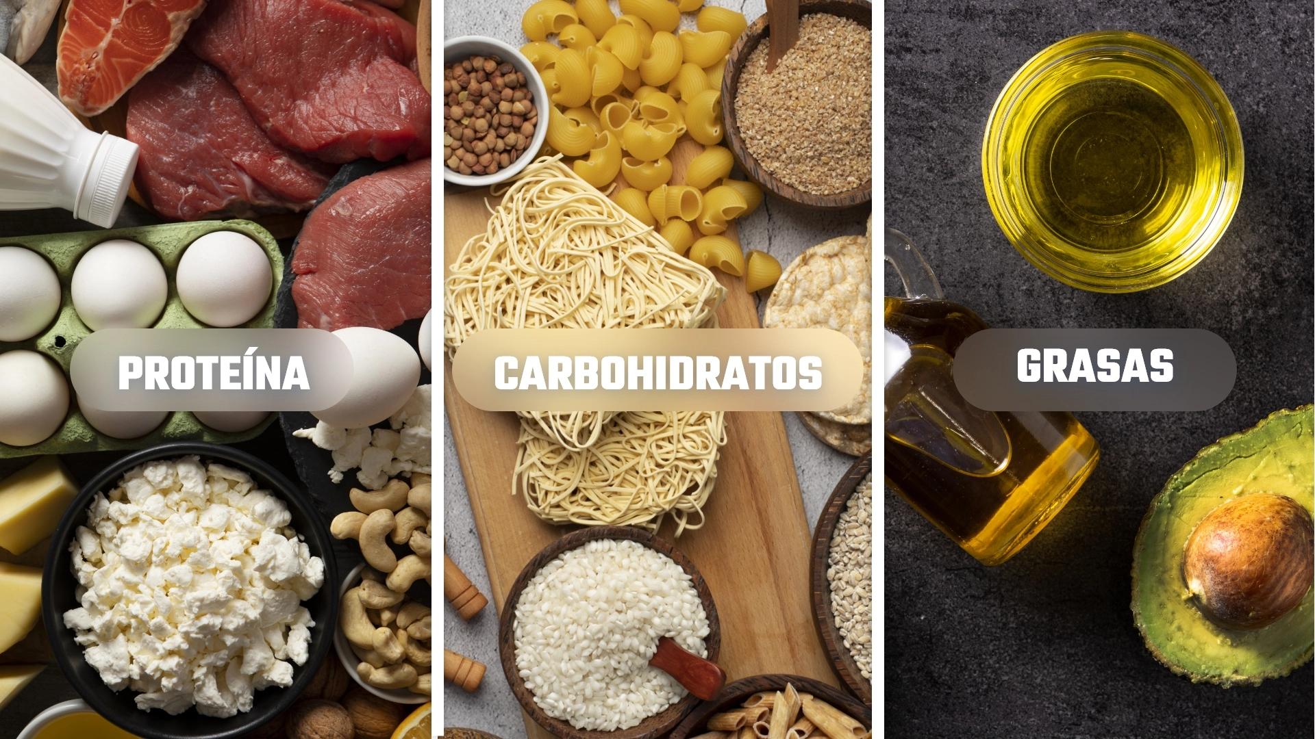 Macronutrientes (Macros): Son los tres grupos principales de nutrientes que nos aportan esa energía: proteína, grasa y carbohidratos