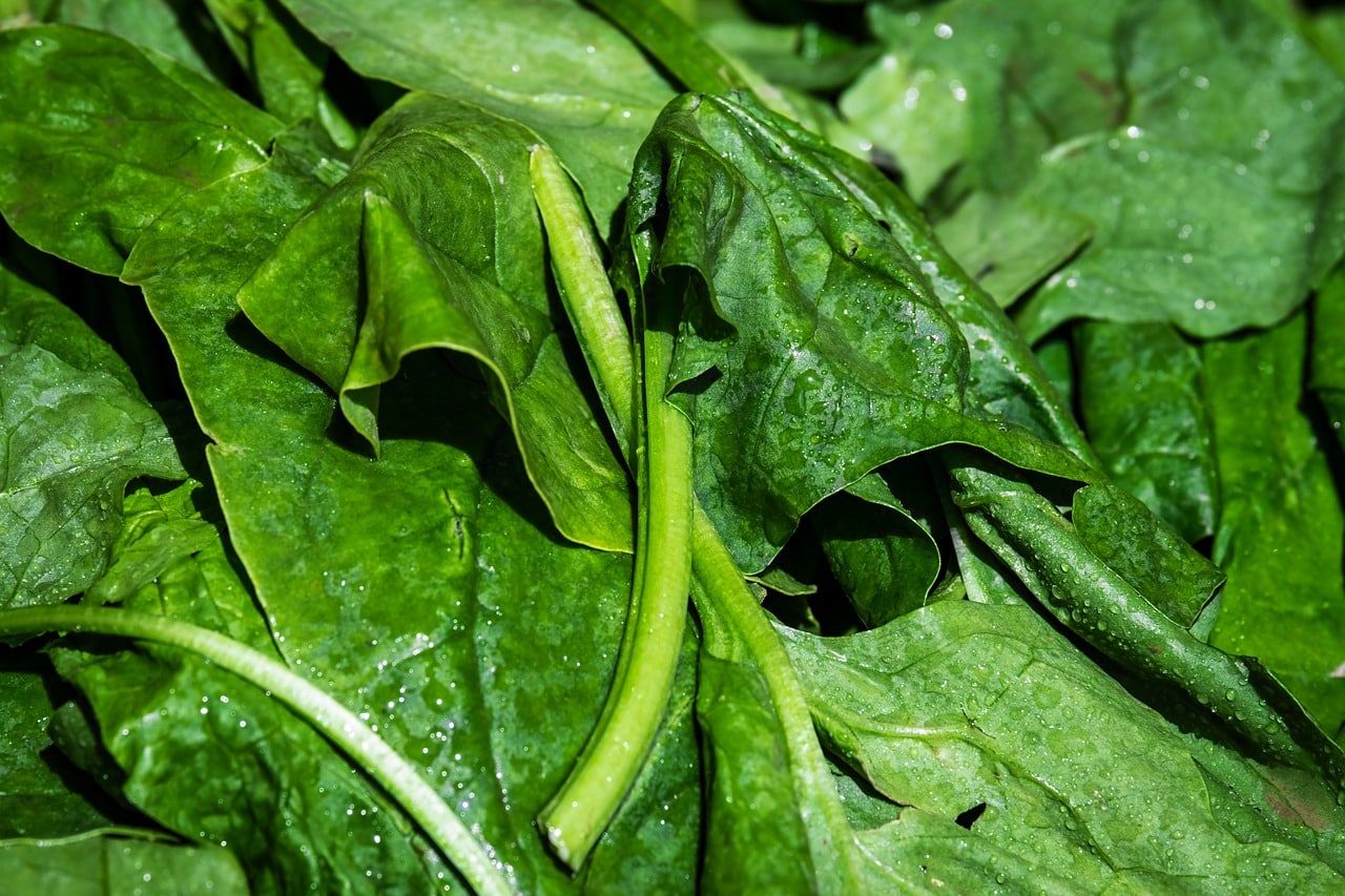 La espinaca un superalimento que proporciona energía para el día a día