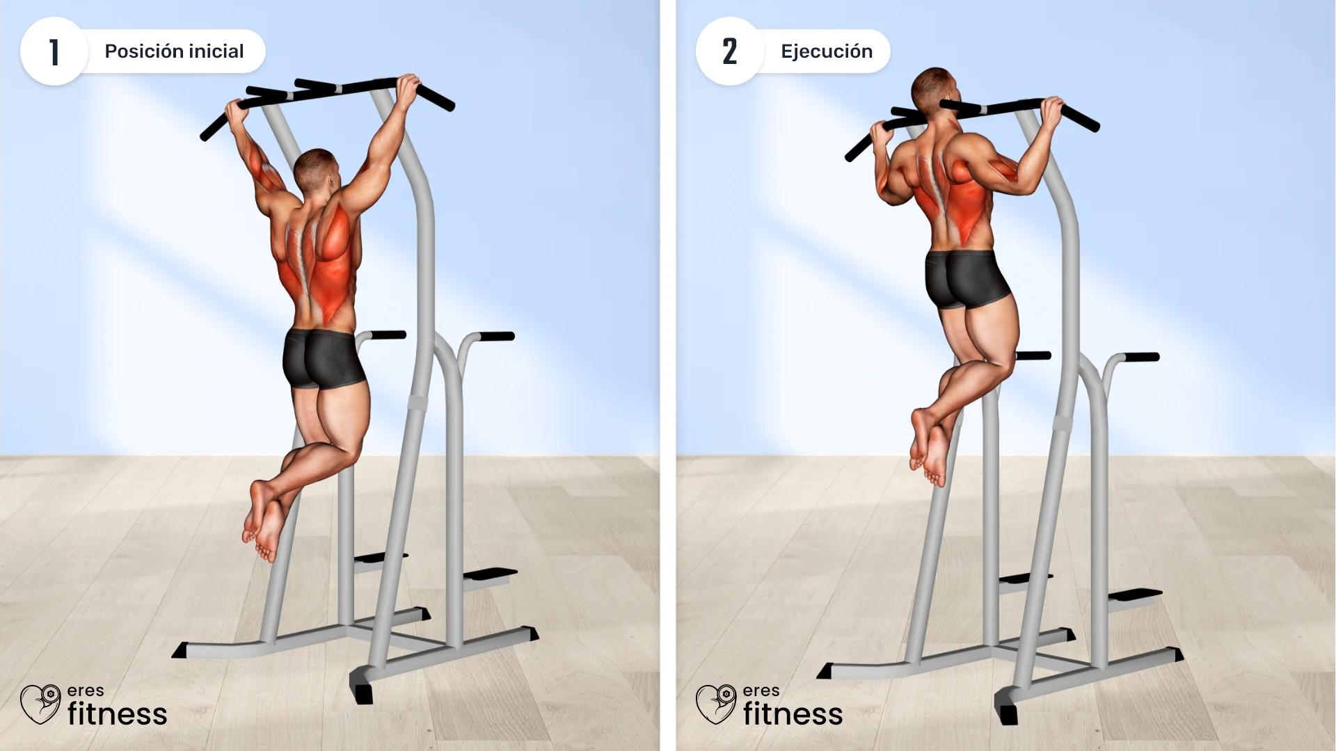 Pull-ups (Dominadas)