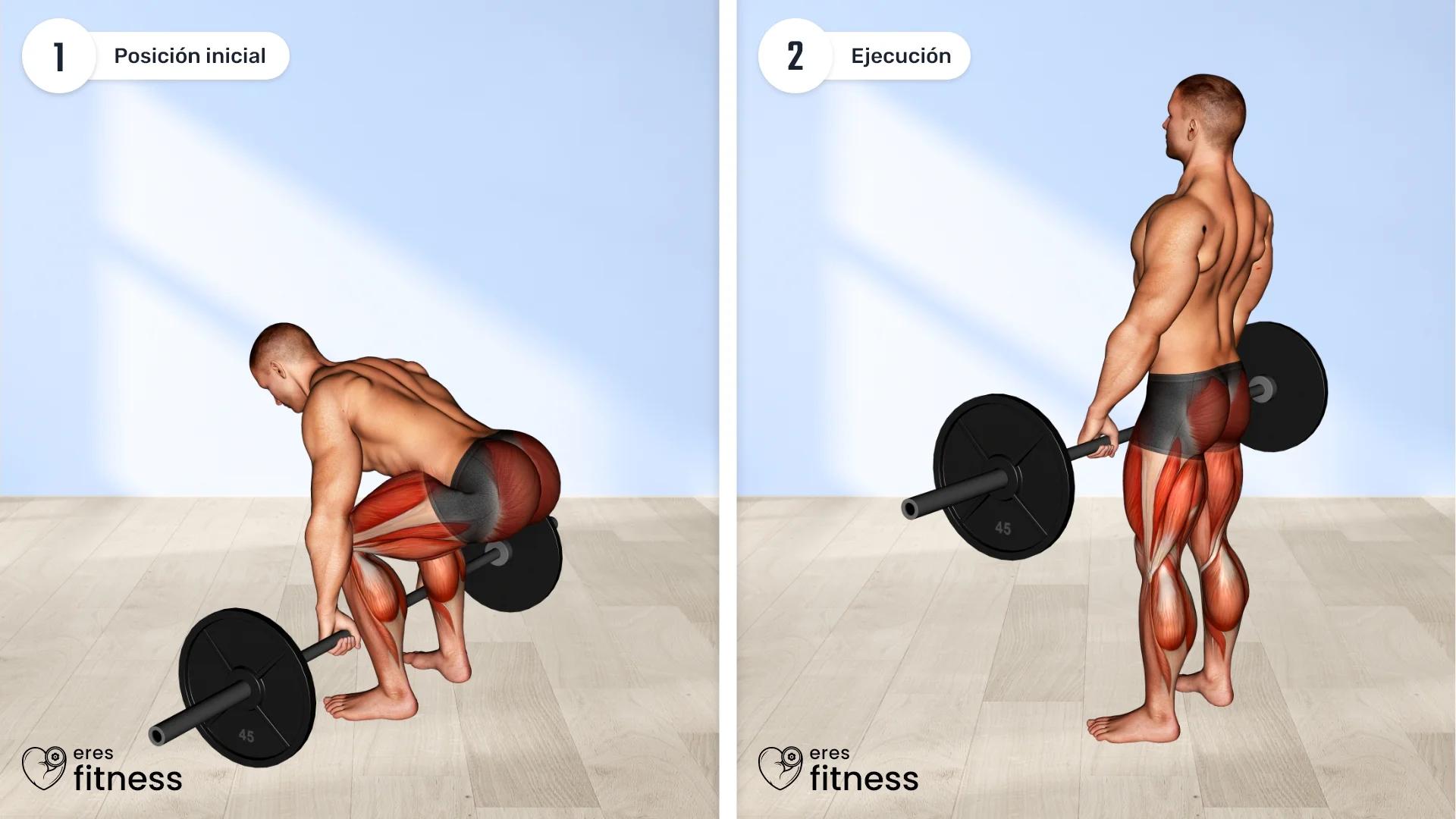 Deadlift (Peso muerto)
