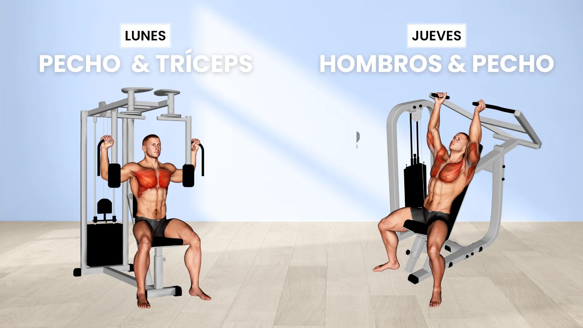 Aumento de la frecuencia de entrenamiento en pecho. Ejemplo: Lunes y Jueves