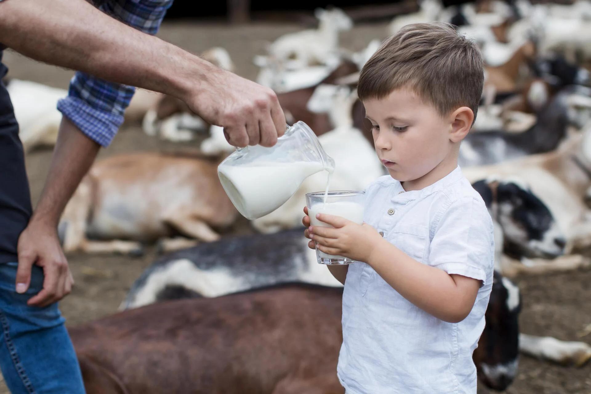 Hombre dando a niño leche de vaca en un vaso