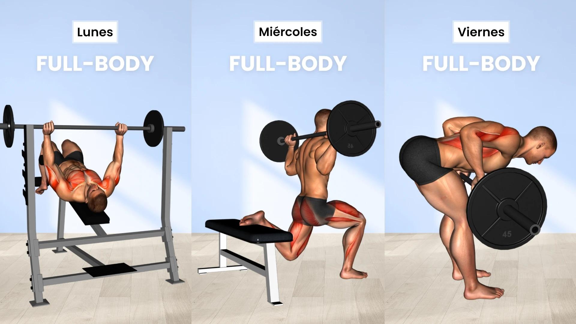Esquema de entrenamiento: Full-body