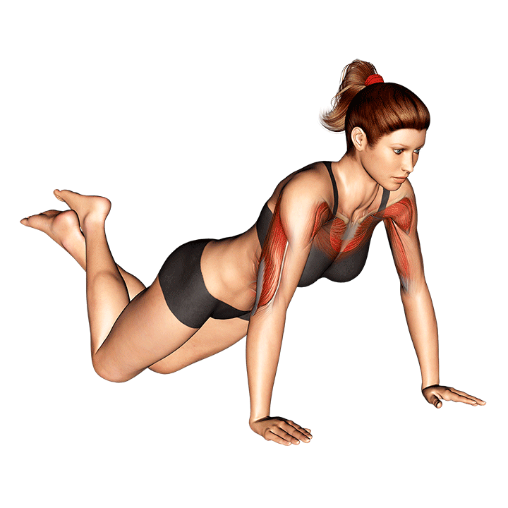 Flexiones de brazo de rodillas