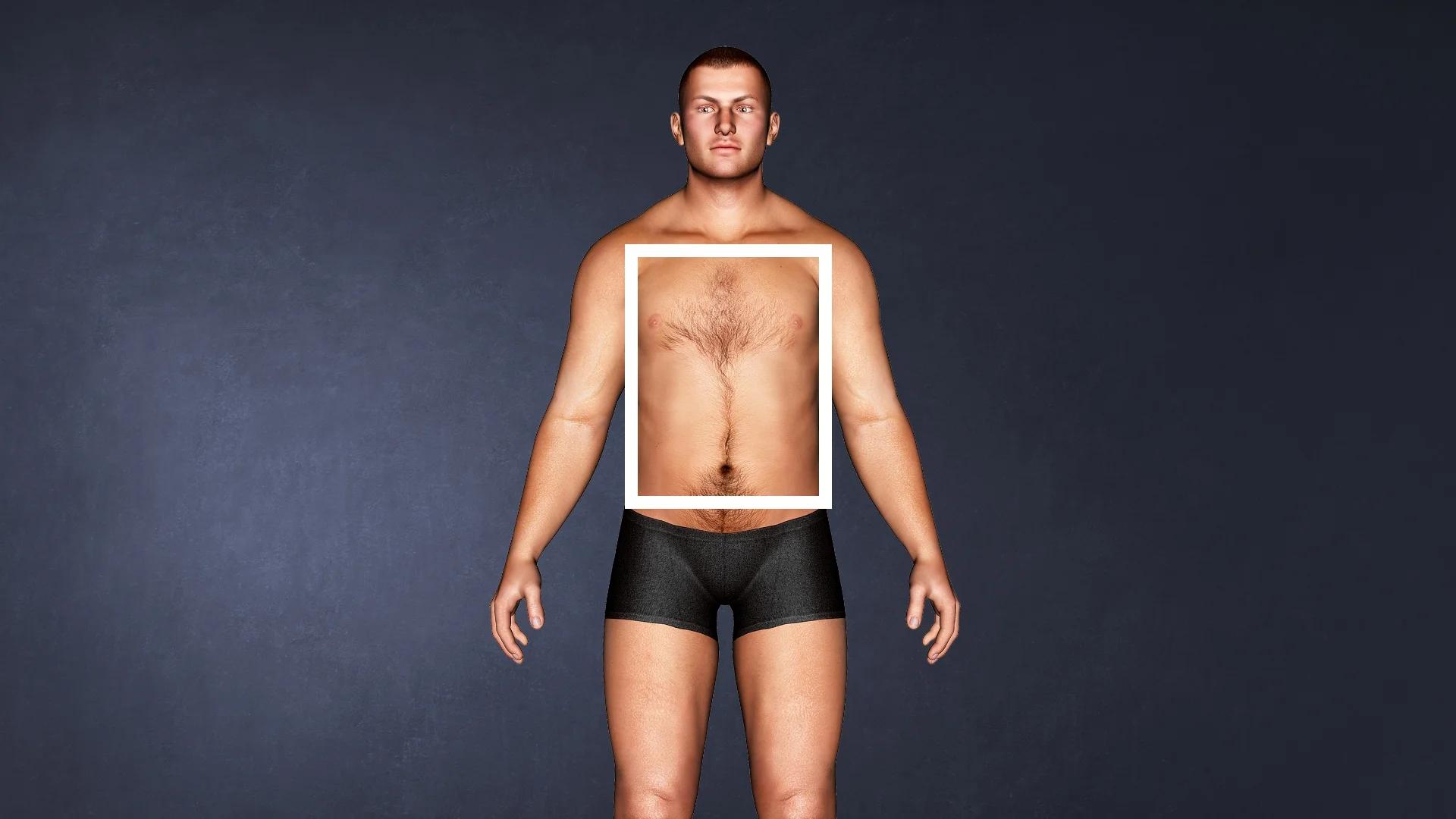 endomorfos