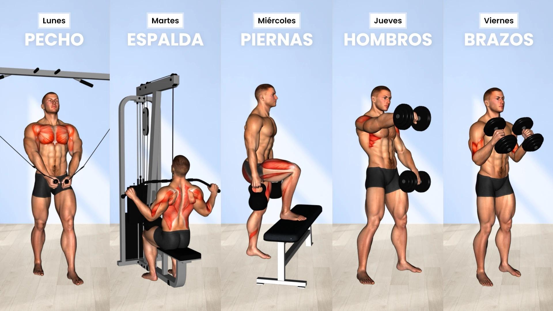 Esquema de entrenamiento: Weider