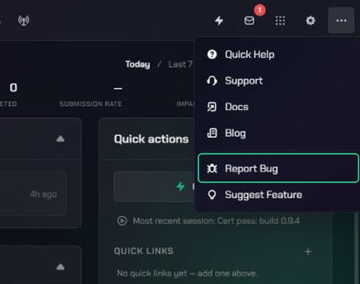 The More menu open, with Report Bug highlighted