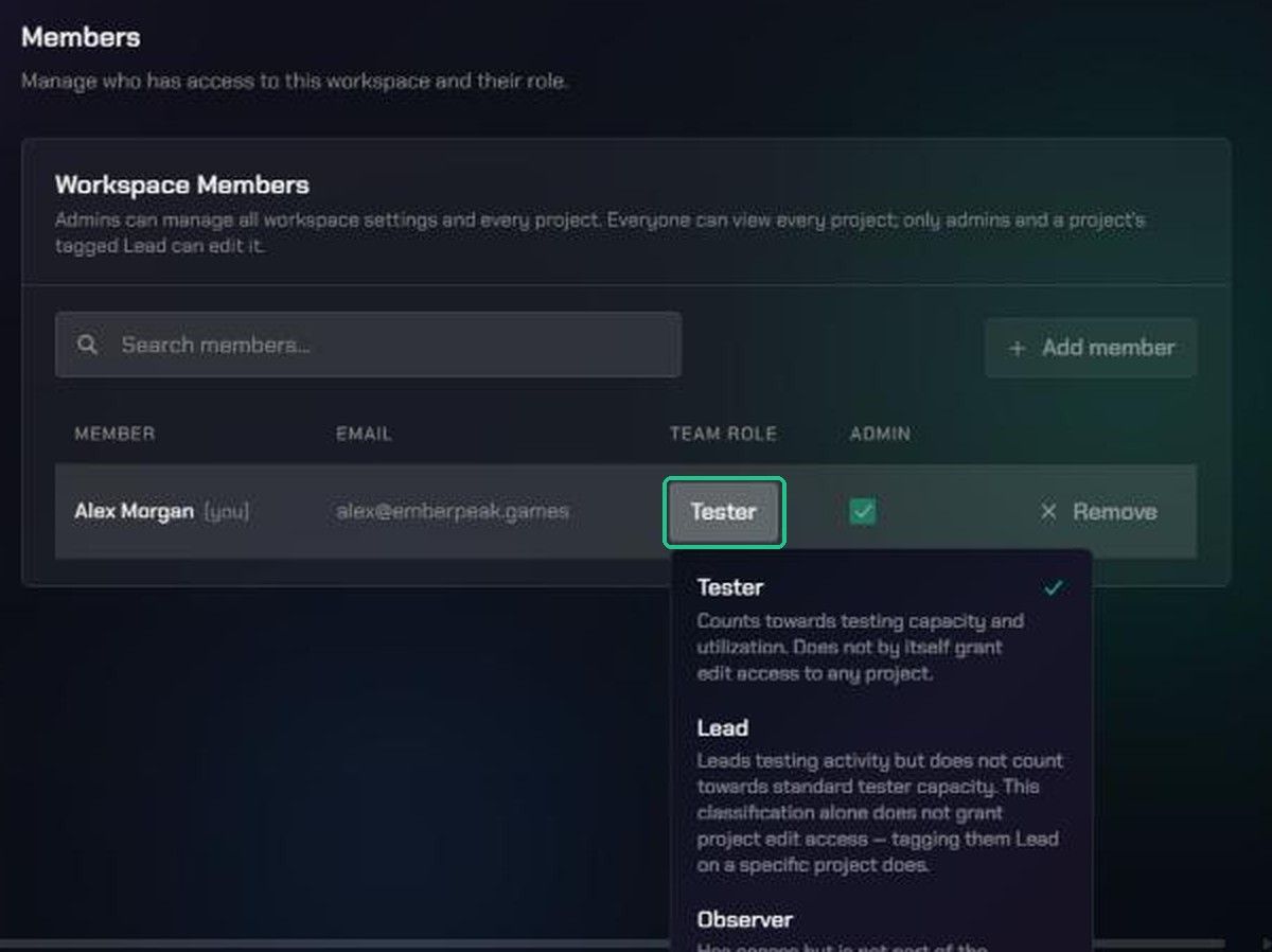 The Team Role picker open on a member's row, describing Tester, Lead and Observer.