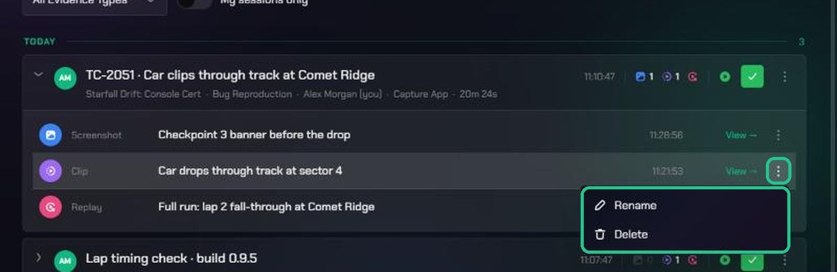 An evidence row menu with Rename and Delete