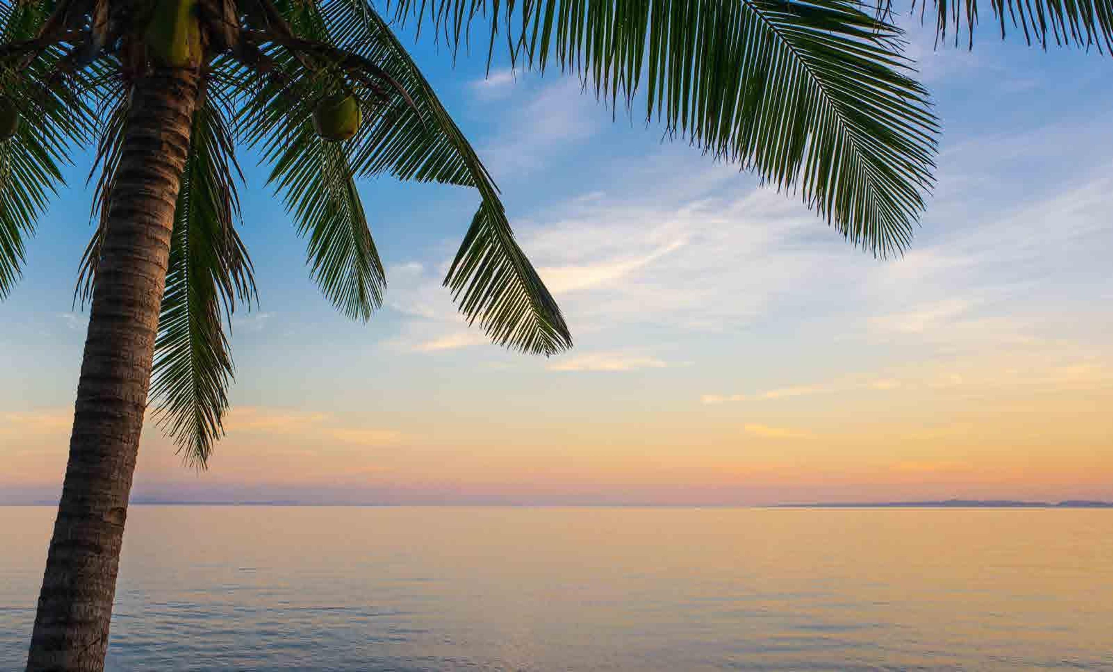 The Riviera Ocean Drive — Jomtien, Pattaya — 4